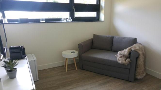 Een Klein Appartementje Zonder Keuken In Het Centrum Sleep At Hamtingh'S Hilvarenbeek Extérieur photo