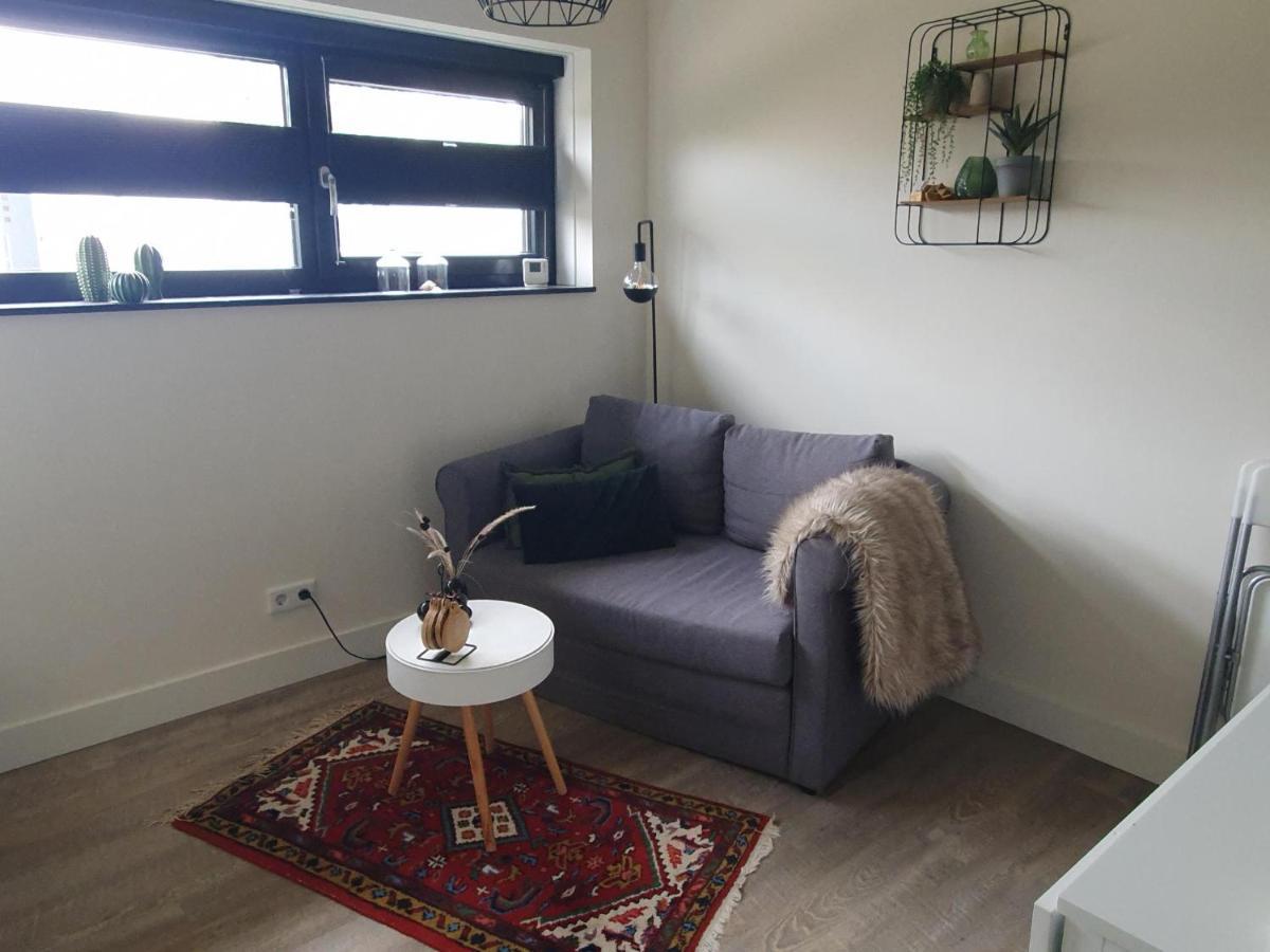 Een Klein Appartementje Zonder Keuken In Het Centrum Sleep At Hamtingh'S Hilvarenbeek Extérieur photo
